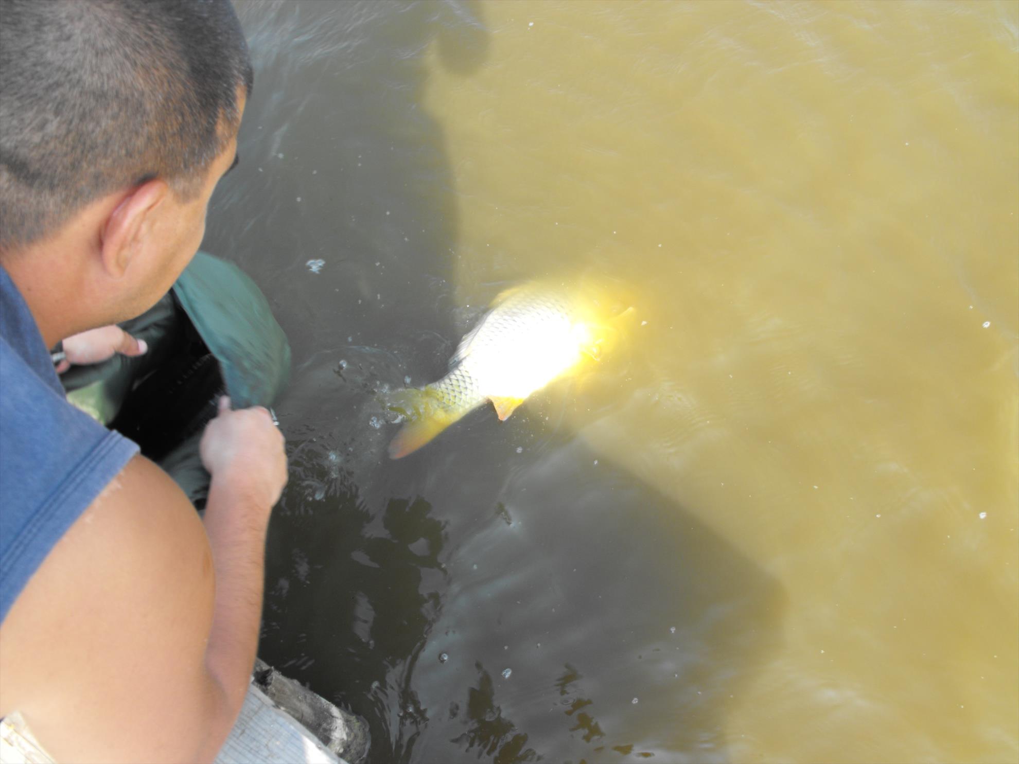 Magura 9, 17.09.2011 - picture-124.jpg